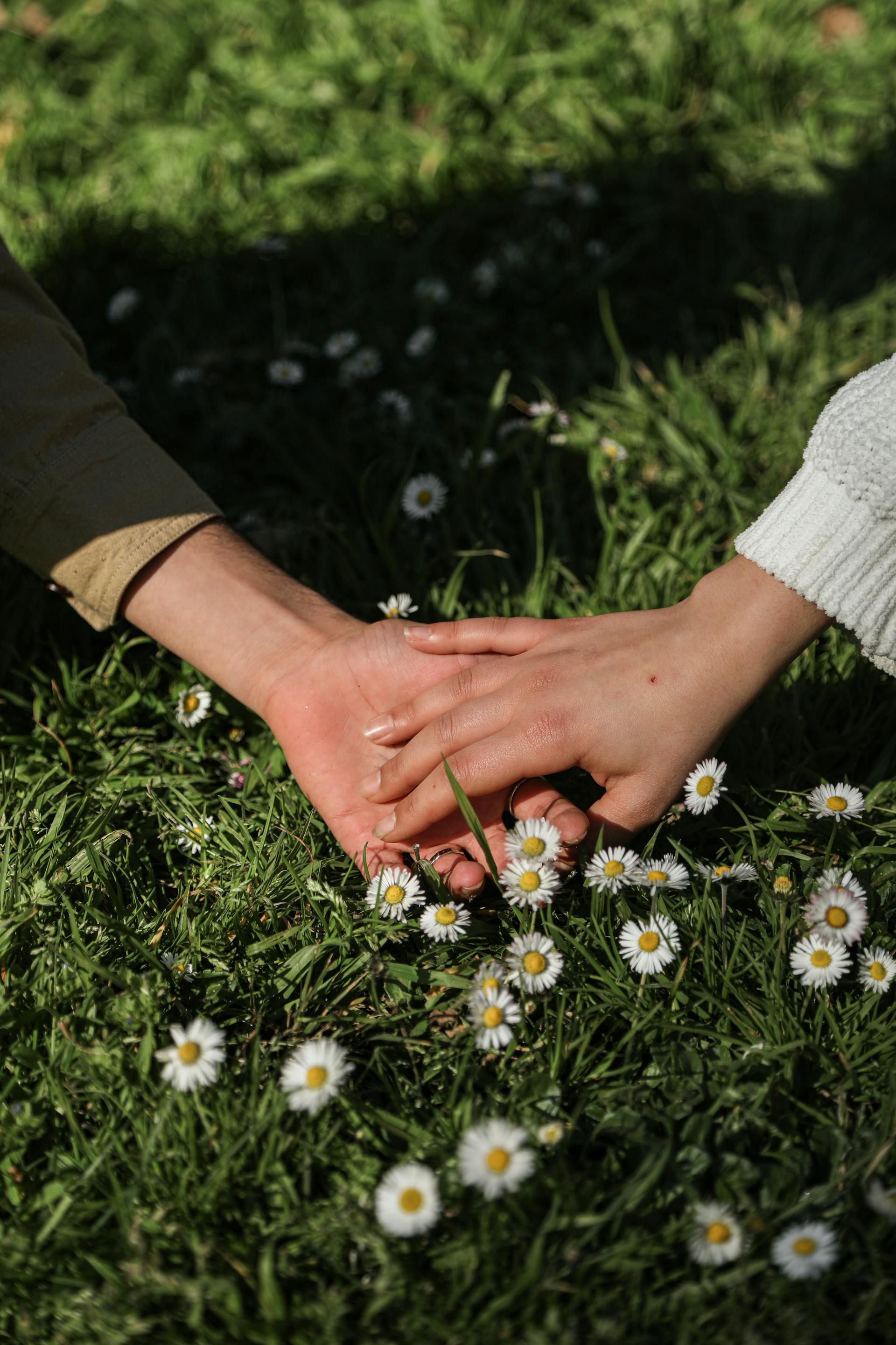 Healthy green lawn maintained with natural products